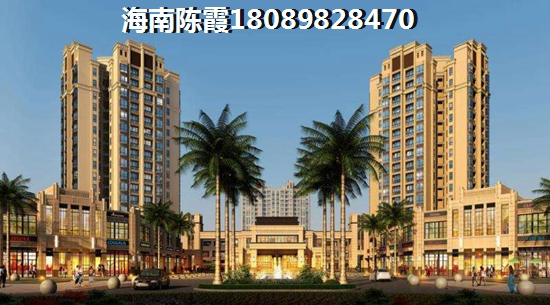 蓝城山语泉开发商实力怎么样？