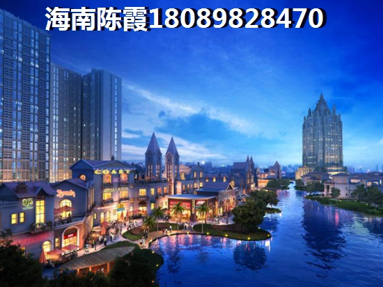 到海南买房子touzi纸得吗？